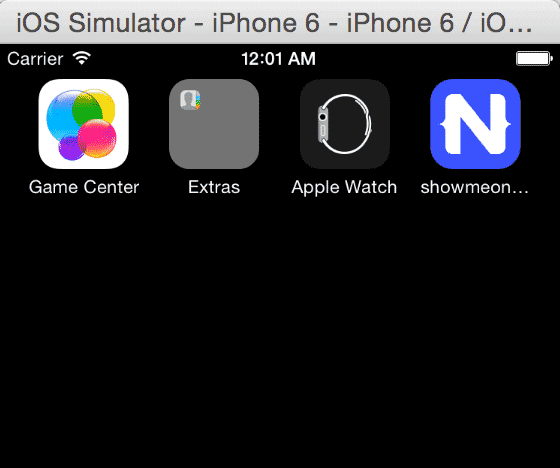 NS_iOS_Sim_Sizes_1